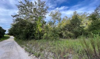 LOT 2 20th Ave, Bell, FL 32619