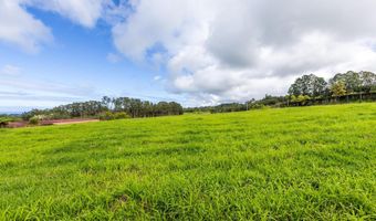 CHIN CHUCK RD, Hakalau, HI 96710