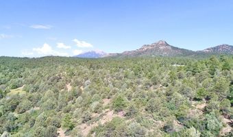 23560 Big Horn Dr, Aguilar, CO 81020