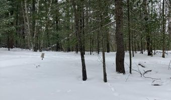 VL Wilderness Circle, Alger, MI 48610