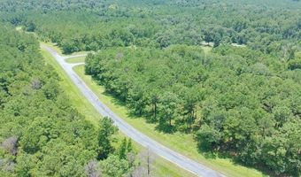 Mountain View Way, Bainbridge, GA 39819