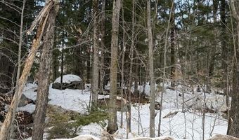 Map 6 Lot 103 Route 16, Albany, NH 03818