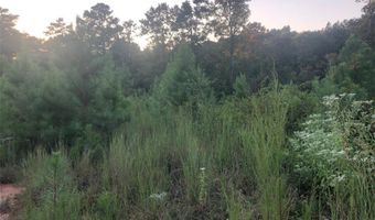 LAKE SECESSION Road, Abbeville, SC 29620