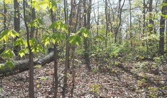000 S Plainview, Anderson, MO 64831