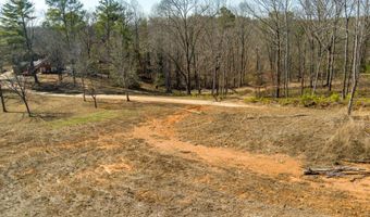 170 Sperin Cabinet Shop Rd, Ball Ground, GA 30107