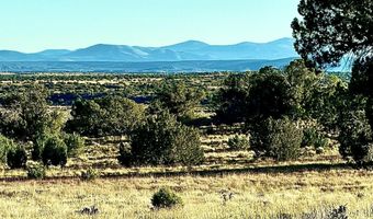 228 County Rd N9328, Concho, AZ 85924