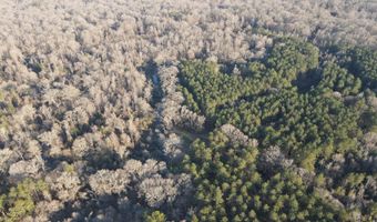 U.S. Highway 51, Bogue Chitto, MS 39629