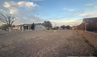 203 Mary Lou Ln, Fernley, NV 89408