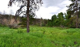 1256 Basking Dog Rd, Bellvue, CO 80512