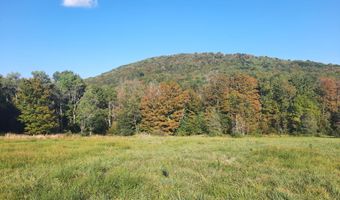 Upper Dingle Hill Road, Andes, NY 13731