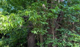 Co Rd 539, Ava, MO 65629