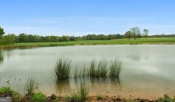 377 Acres Brent, Barnesville, GA 30204