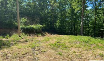 31 Catfish Dr, Big Sandy, TN 38221