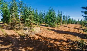 NW Lodge Rd, Banks, OR 97106