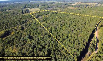 51 Shelton Rd, Bee Branch, AR 72013