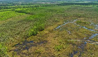 Alligator Road, Bamberg, SC 29843