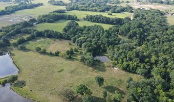 423 County Road 1560, Alba, TX 75410