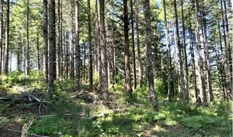 Tunnel Tract Parcel1, Banks, OR 97106