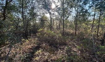 NW Lake McKenzie Rd, Altha, FL 32421