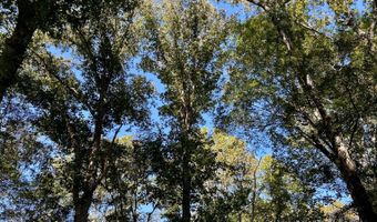 0 Lloyd Mill Rd, Andalusia, AL 36421