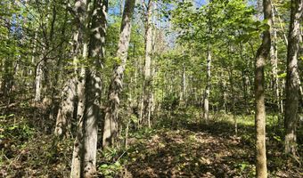 HURT HOLLOW RD, Banco, VA 22711