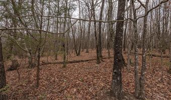 Tract 2 Hall RD, West Fork, AR 72774