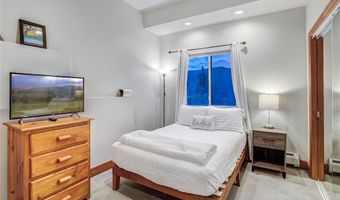1095 QUARTZVILLE, Alma, CO 80440