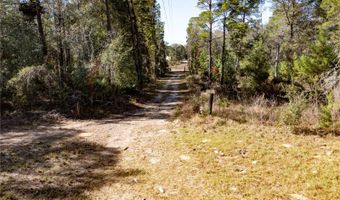 18129 SW 200TH St, Archer, FL 32618