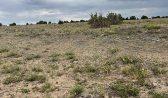 8206 TBD N8206, Concho, AZ 85924
