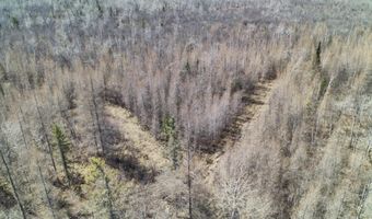 5280 Cathro Rd, Alpena, MI 49707