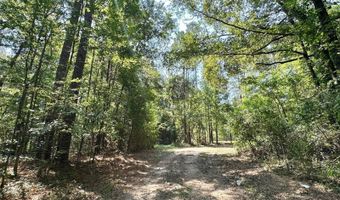 2 Champion Hill Rd, Bolton, MS 39041