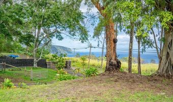 48-5319 KUKUIHAELE Rd, Honokaa, HI 96727