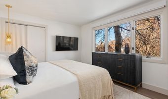 205 E Durant Ave Unit 1G, Aspen, CO 81611