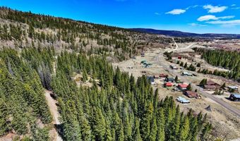 270 Co Rd 667 Lot 0, Alma, CO 80440