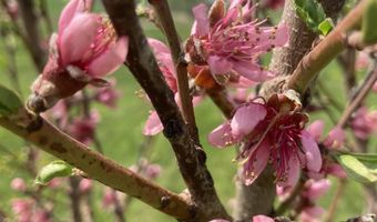 2590 220th St, Arion, IA 51520