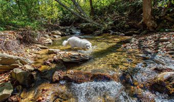 10 Dodd Rd, Barnardsville, NC 28709