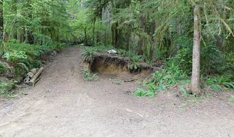 10286 RIDGE VIEW Ter, Birkenfeld, OR 97016