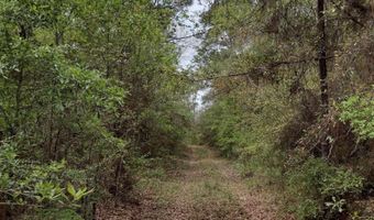 Phillipsville Road lot # 8, Bay Minette, AL 36507