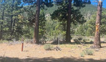 3559 Knob Point Trl 90, Carson City, NV 89705