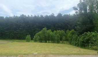 Lot 48 Willowbrook Street, Arkadelphia, AR 71923