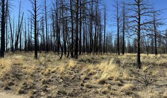 Mahogany Lane 200, Beatty, OR 97621