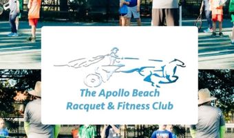 916 BUNKER VIEW Dr, Apollo Beach, FL 33572