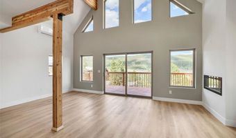 145 Spruce St, Alma, CO 80420