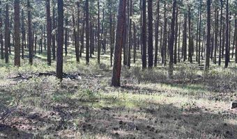 782 Hawks Meadow Dr, Bayfield, CO 81122