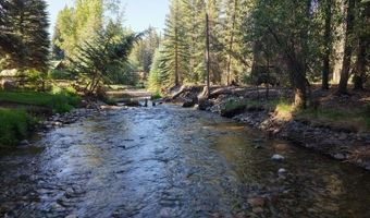 201 Golden Forest Rd, Bayfield, CO 81122