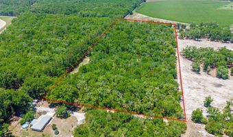 NW 40th Ave, Bell, FL 32619