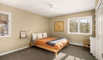 1036 Red Mountain Rd, Aspen, CO 81611