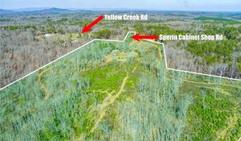 170 Sperin Cabinet Rd, Ball Ground, GA 30107
