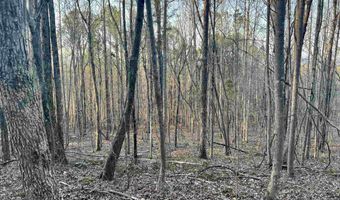 00007 SPRINGHOLLOW Rd Lot 7, Ashville, AL 35953