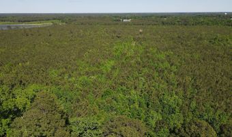 Colice Hall Lane, Ahoskie, NC 27910